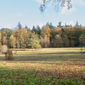 Wandelcoaching Zorgvliet